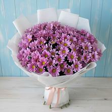 Букет цветов из:  Хризантемы в Гавердовский