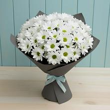 Букет цветов из:  Хризантемы #REPLACE_PRED# Гавердовский