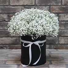 Цветочная композиция из Гипсофила в шляпной коробке #REPLACE_PRED# Гавердовский