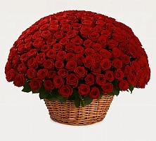 Премиум букет из: Розы в Гавердовский